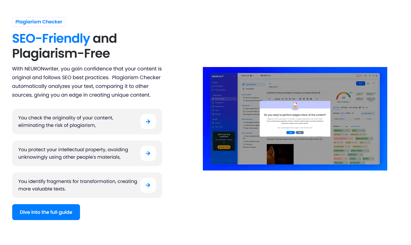 NeuronWriter Image 10