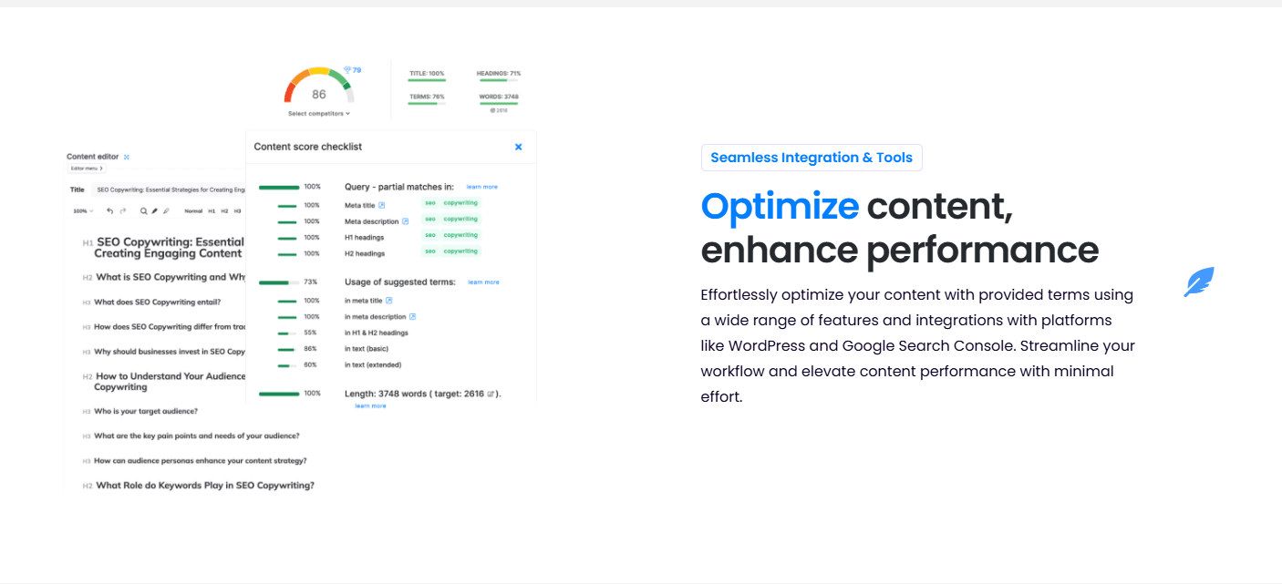 NeuronWriter Image 3