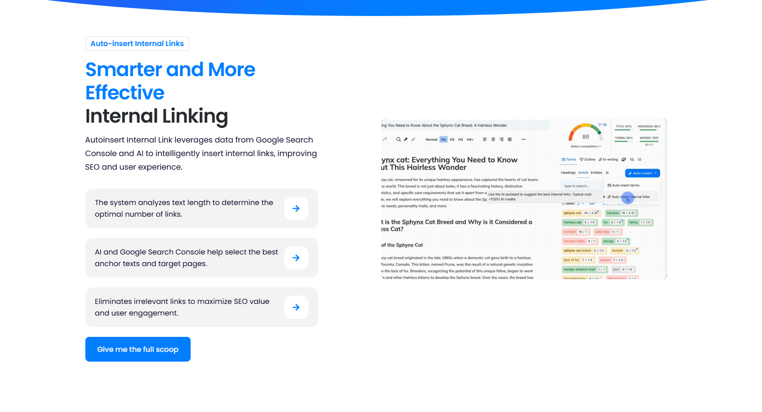NeuronWriter Image 7