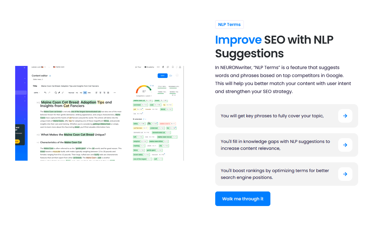 NeuronWriter Image 8