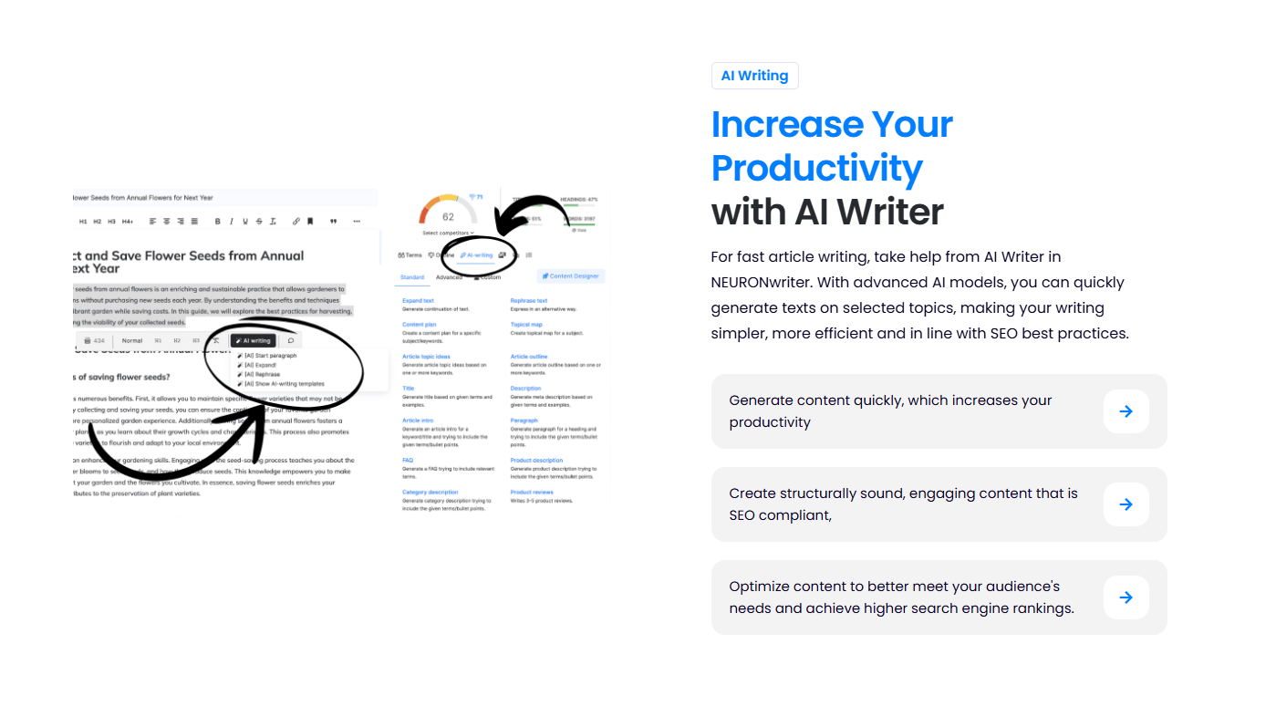 NeuronWriter Image 9